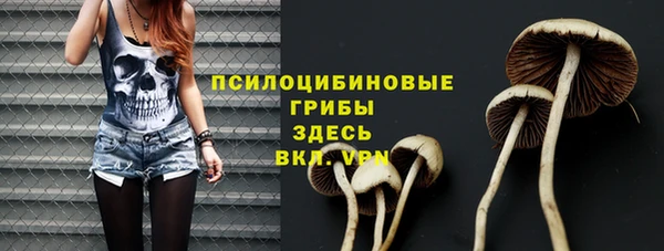 хмурый Наволоки